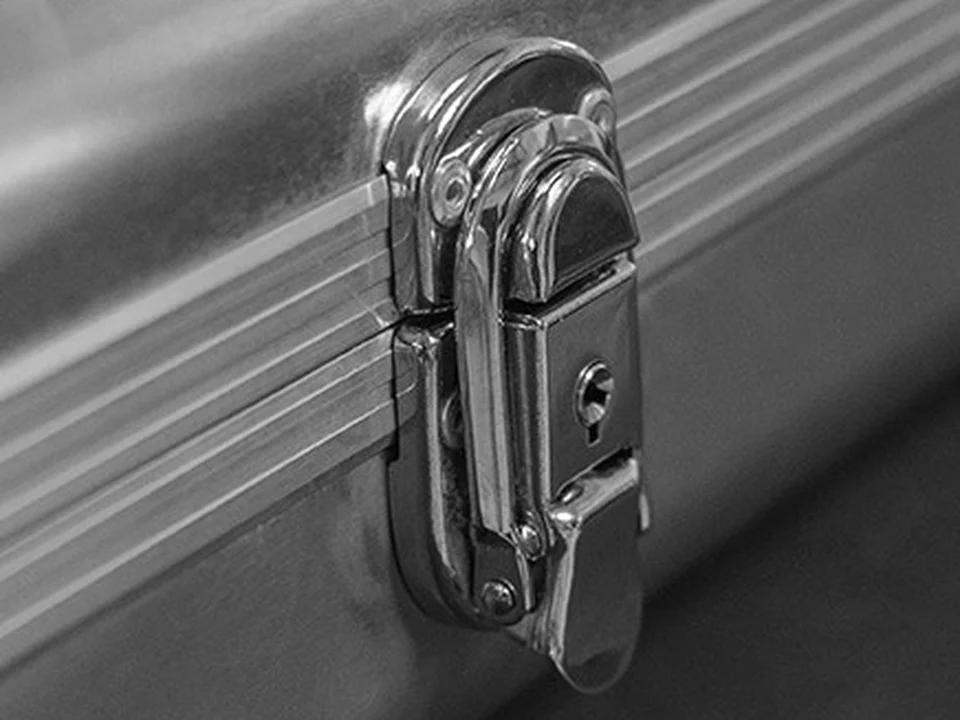 Fermoir à clé de l’étui rigide Plum